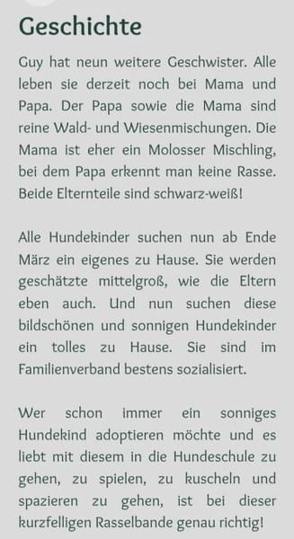 wunderschöne Welpenkinder ❤