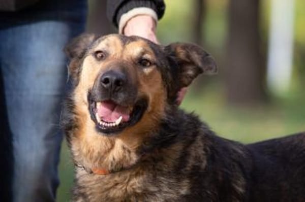 Yasha❤in 83543 Rott am Inn