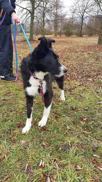 Talvi - hat Sonne im Herzen 🐾