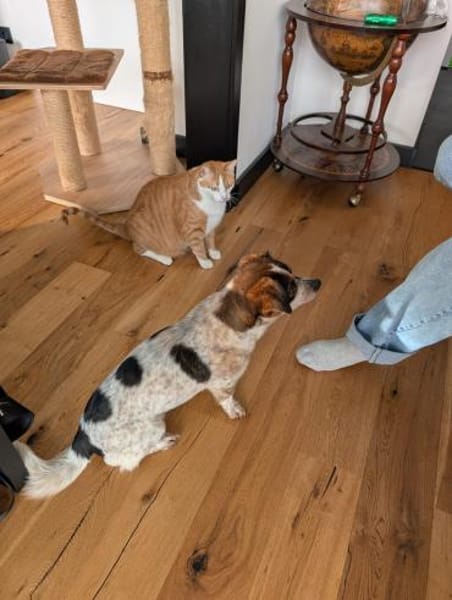 Süßer Yoshi wartet auf Dich