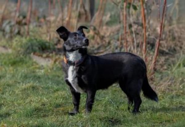 TAMANI -menschenbezogen & quirlig-