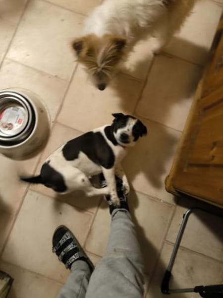 SMiLLA❤wartet in Westerheim auf dich