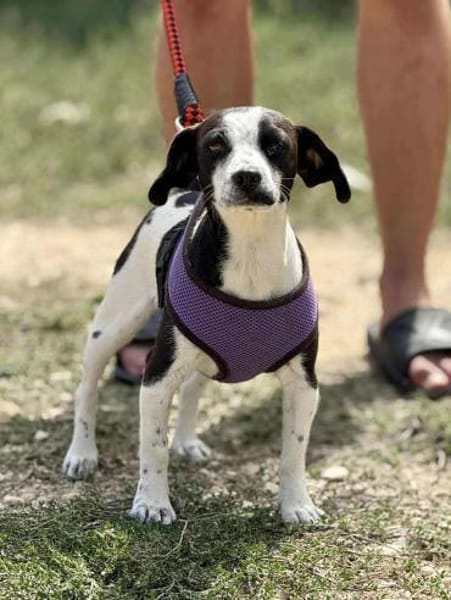 SMiLLA❤wartet in Westerheim auf dich