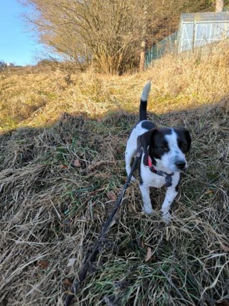SMiLLA❤wartet in Westerheim auf dich