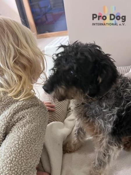 Kevin auf Pflegestelle