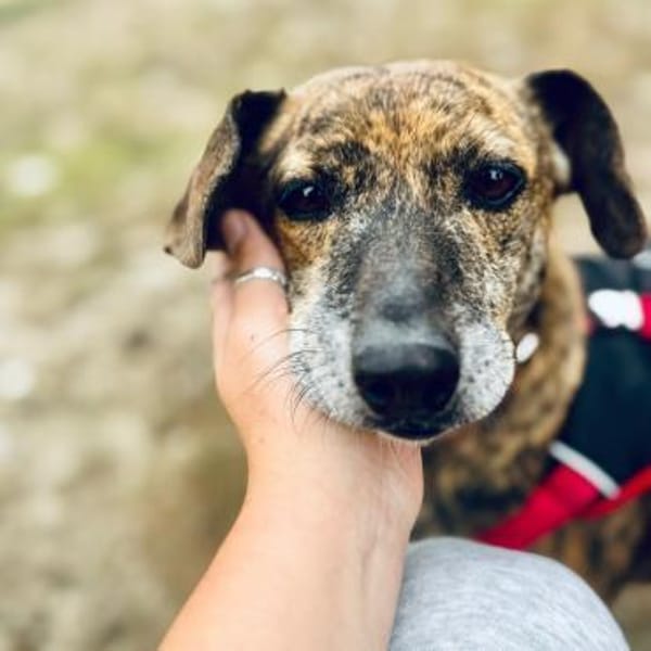 Terra ❤ herzliche Seniorin