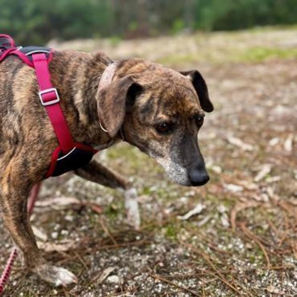 Terra ❤ herzliche Seniorin