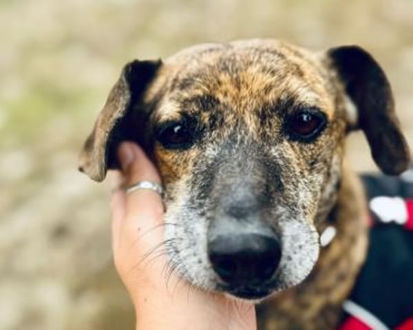 Terra ❤ herzliche Seniorin