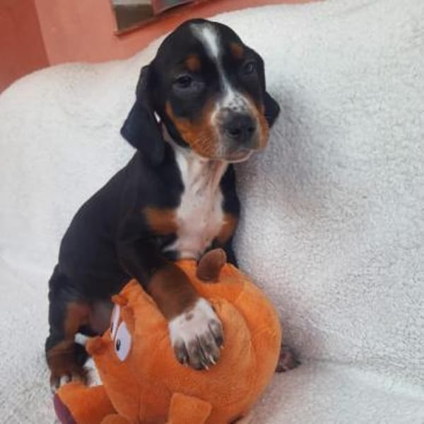 Filinchen ❤ neugierige Weltentdeckerin