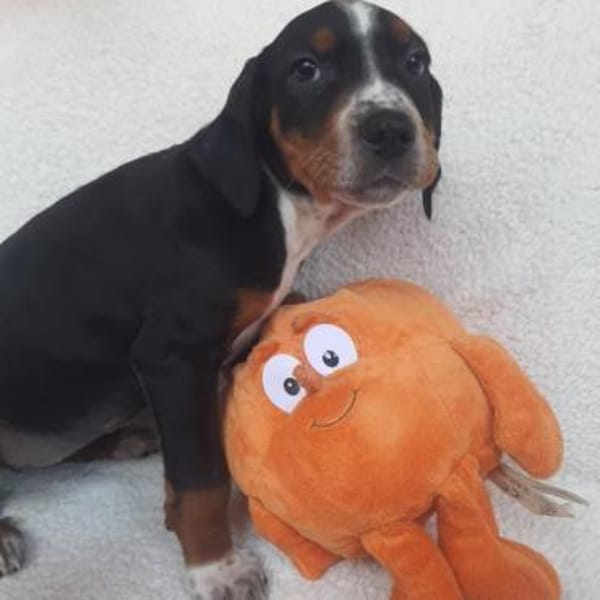 Filinchen ❤ neugierige Weltentdeckerin