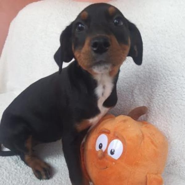 Alisha ❤ neugierige Weltentdeckerin