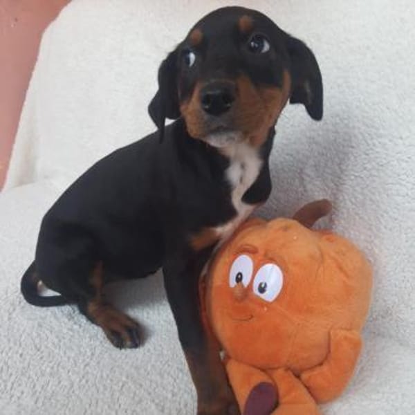 Alisha ❤ neugierige Weltentdeckerin