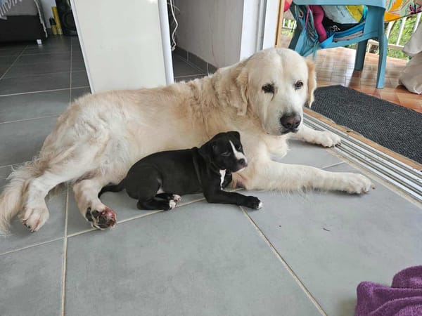 Bria, l'adorable bébé