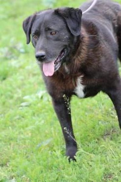 Douce - sehr verspielt u. kinderlieb ❤