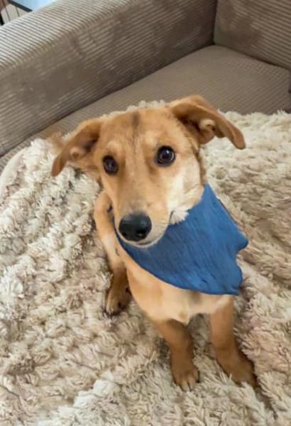 Matyo, vorsichtige Knutschkugel, ca. 7 M