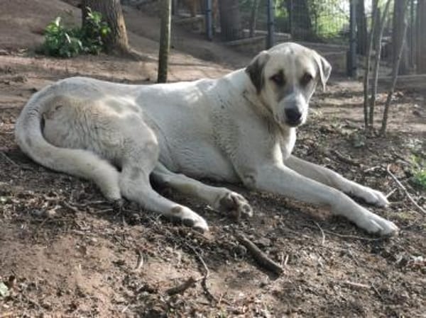 Ausgeglichene & menschenbezogene Pina