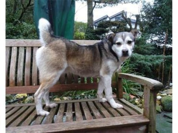 Bonus - 53557 Bad Hönningen