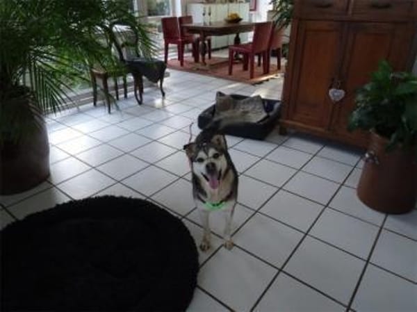 Bonus - 53557 Bad Hönningen