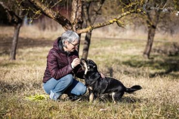 Anton kleiner Rüde sucht Sie