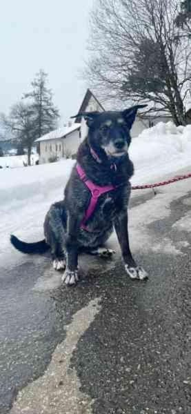 Paula, liebe Seniorin