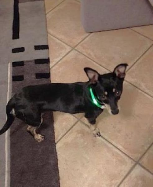 Klein Tonkitu ist so ein toller Schatz!