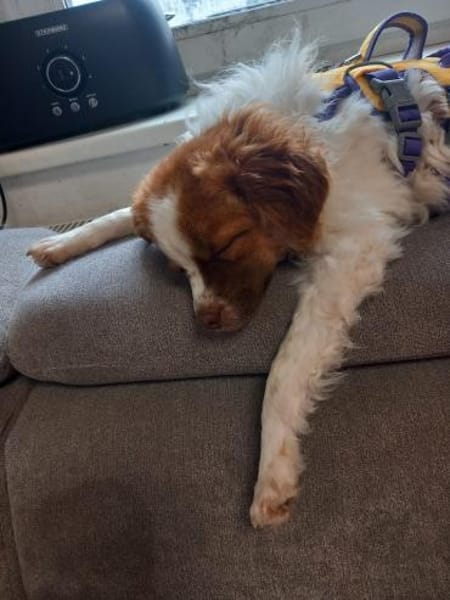 Mimi sucht ihren Herzensmensch