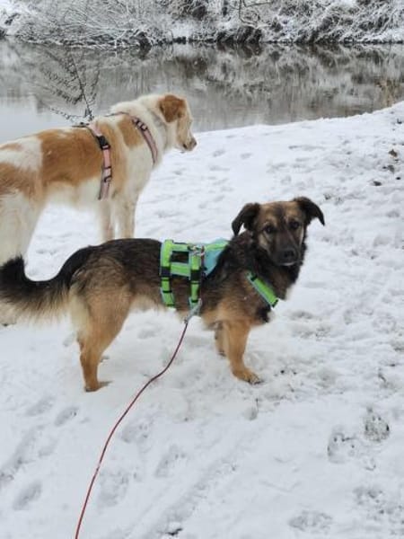 Pino - ist offen und interessiert