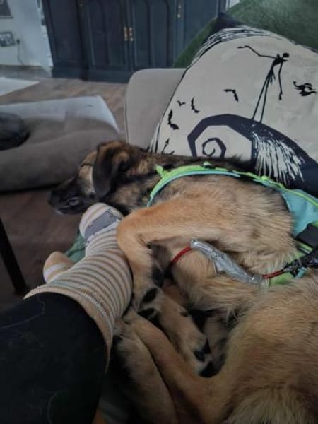 Pino - ist offen und interessiert