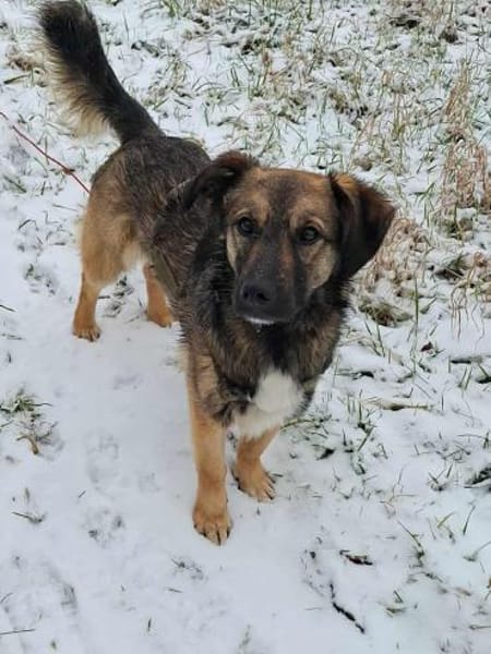 Pino - ist offen und interessiert