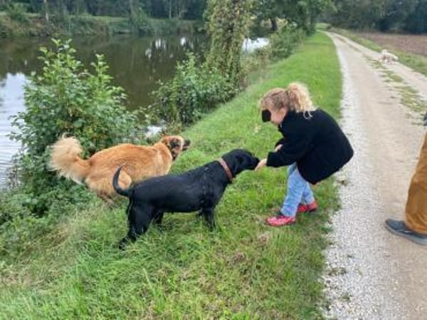 Skoppy neues Zuhause gesucht!