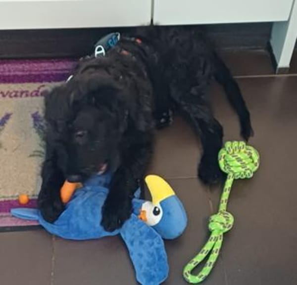 James° 61250 Usingen