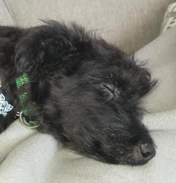 James° 61250 Usingen