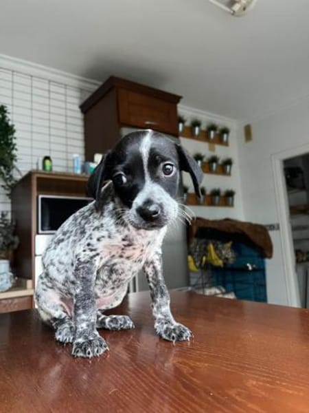 Lenteja wer zeigt ihr die Sonnenseiten?