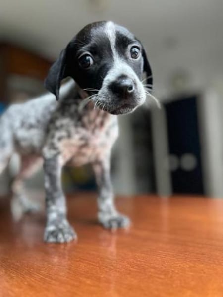 Lenteja wer zeigt ihr die Sonnenseiten?