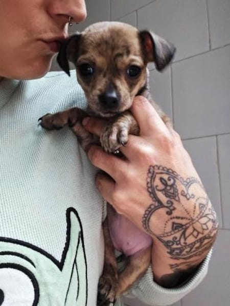 Laia kleiner Zwerg sucht sein Glück