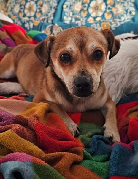 Kleiner verschmuster Elio...