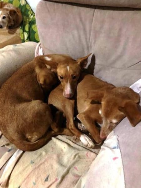 Luna sucht Menschen mit etwas Geduld