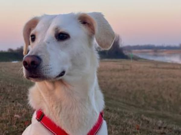 Ophra möchte endlich ankommen