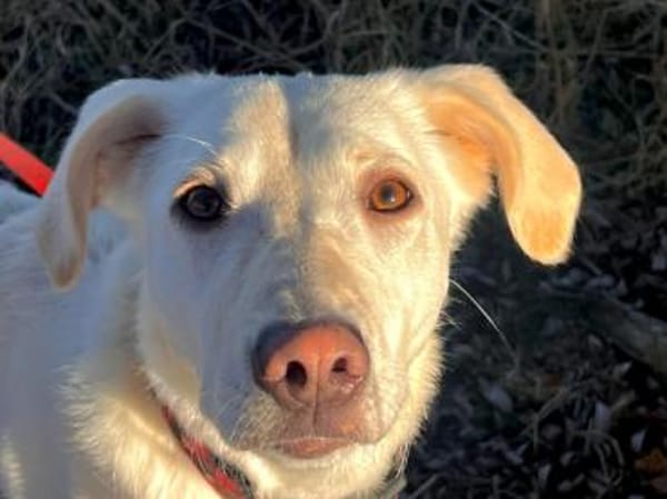 Ophra möchte endlich ankommen