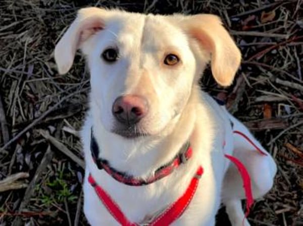 Ophra möchte endlich ankommen