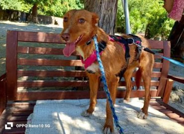 NICKI ❤ zerbrechlich, leise, tapfer