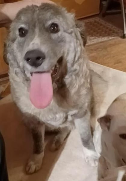 Ruby 💚💚💚 möchte gefallen