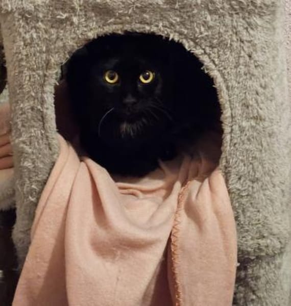 Gisela sucht Liebe und Geduld