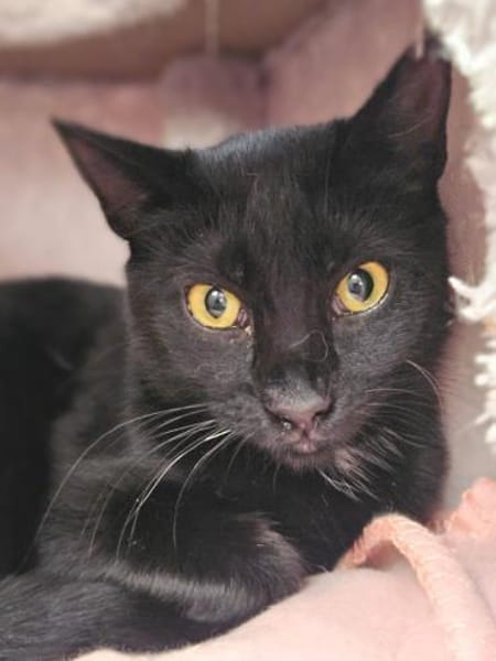 Gisela sucht Liebe und Geduld