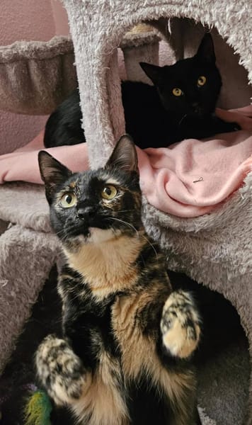 Gisela sucht Liebe und Geduld