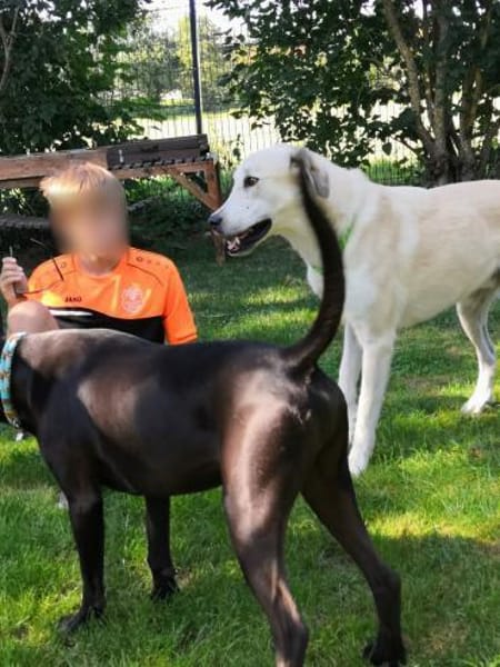 Mezzo, ein Schatz sucht das große Glück!