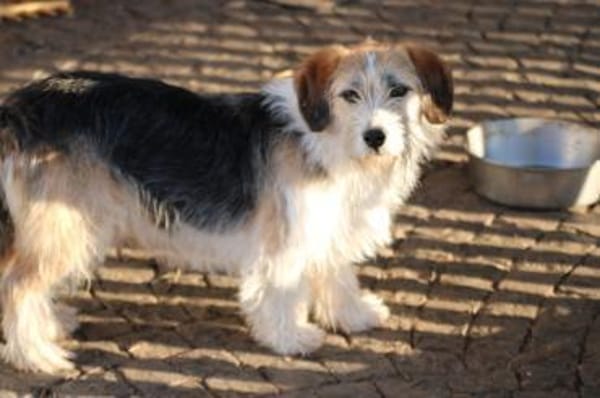 Tusko - angenehm u. lieb