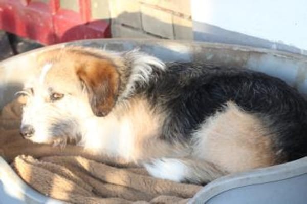 Tusko - angenehm u. lieb