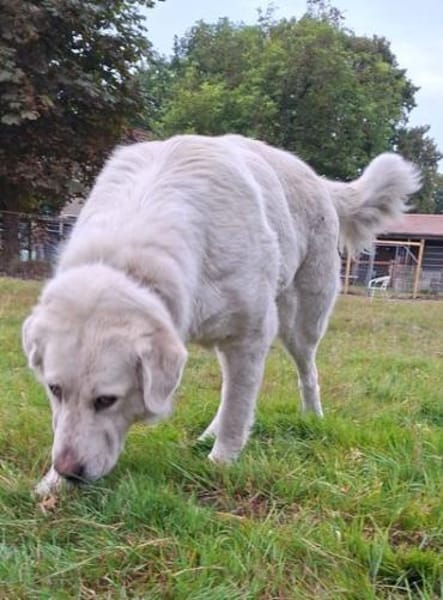 Schönheit Lana möchte ein ruhiges Zuhaus