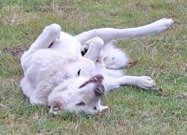 Schönheit Lana möchte ein ruhiges Zuhaus